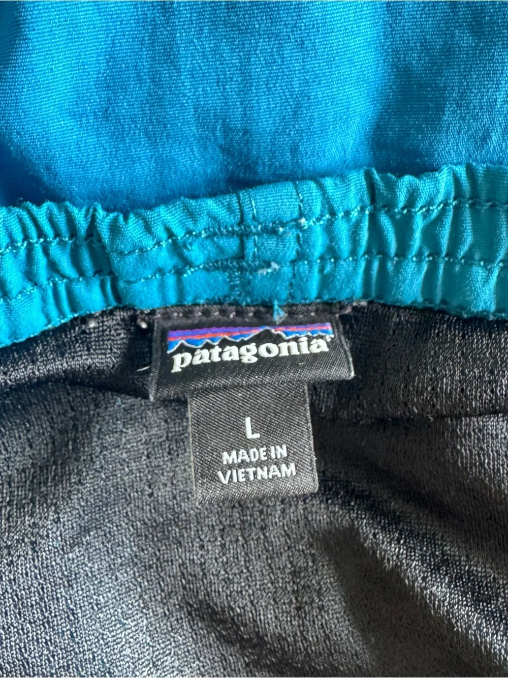 Patagonia lightweight swim